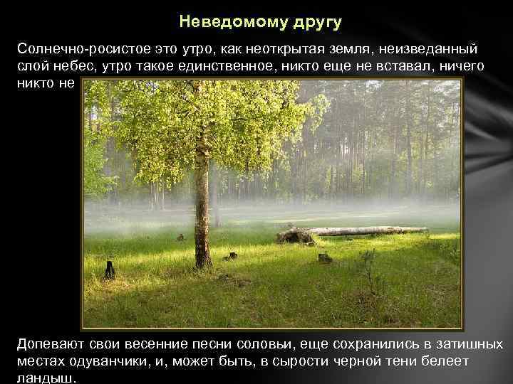 Неведомому другу Солнечно-росистое это утро, как неоткрытая земля, неизведанный слой небес, утро такое единственное,