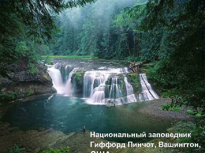 Национальный заповедник Гиффорд Пинчот, Вашингтон, 