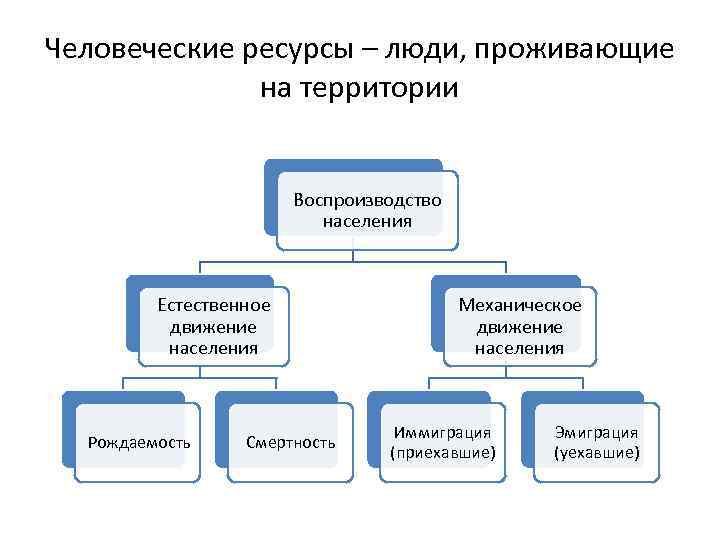 Человеческие ресурсы – люди, проживающие на территории Воспроизводство населения Естественное движение населения Рождаемость Смертность