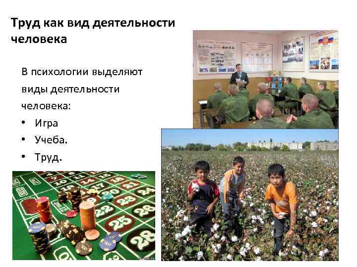 Труд как вид деятельности человека В психологии выделяют виды деятельности человека: • Игра •