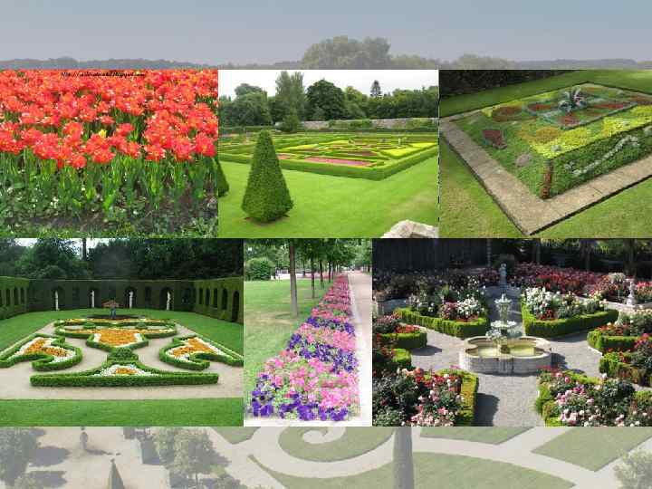  При обустройстве партерных цветников и регулярных клумб-арабесок цветы необходимо подбирать так, чтобы обеспечить