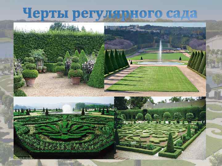 Черты регулярного сада • • • это плоская территория с отсутствием перепадов рельефа; планировка