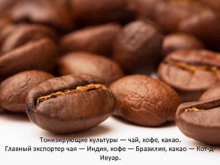 Тонизирующие культуры — чай, кофе, какао. Главный экспортер чая — Индия, кофе — Бразилия,