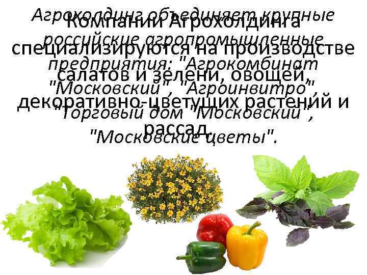 Агрохолдинг объединяет крупные Компании Агрохолдинга российские агропромышленные специализируются на производстве предприятия: 