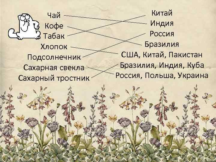 Чай Кофе Табак Хлопок Подсолнечник Сахарная свекла Сахарный тростник Китай Индия Россия Бразилия США,