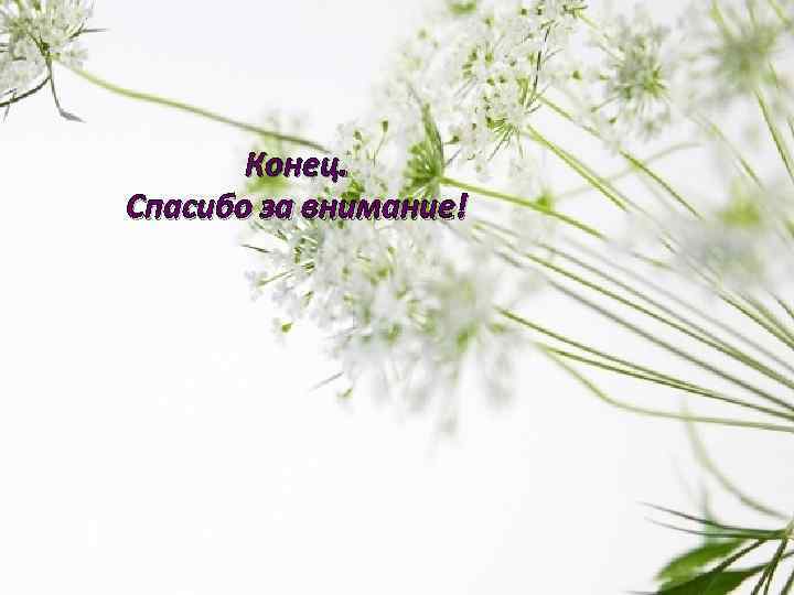 Конец. Спасибо за внимание! 