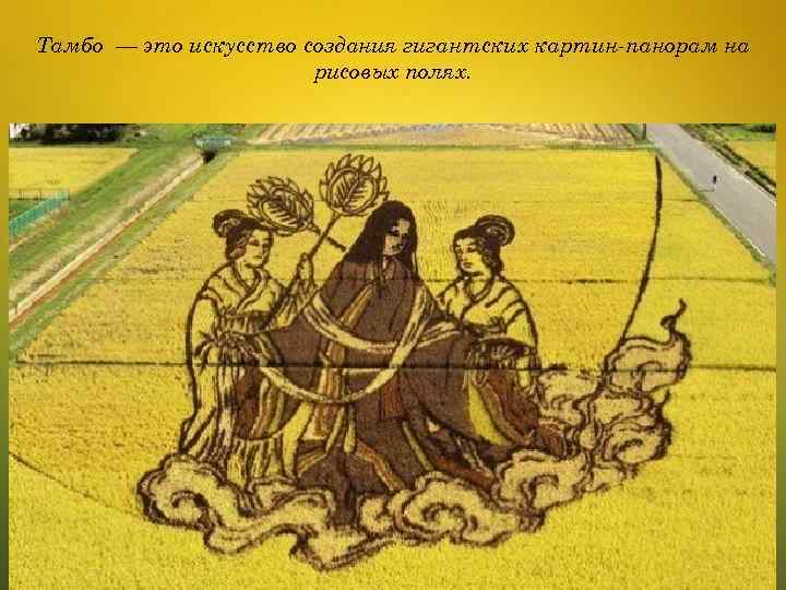 Тамбо — это искусство создания гигантских картин-панорам на рисовых полях. 