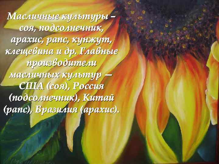 Масличные культуры – соя, подсолнечник, арахис, рапс, кунжут, клещевина и др. Главные производители масличных