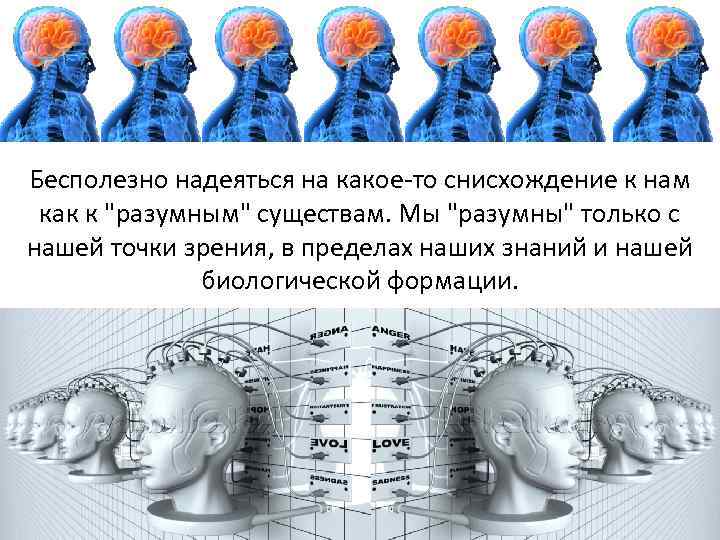 Бесполезно надеяться на какое-то снисхождение к нам как к 