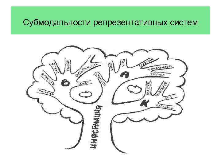 Субмодальности репрезентативных систем 