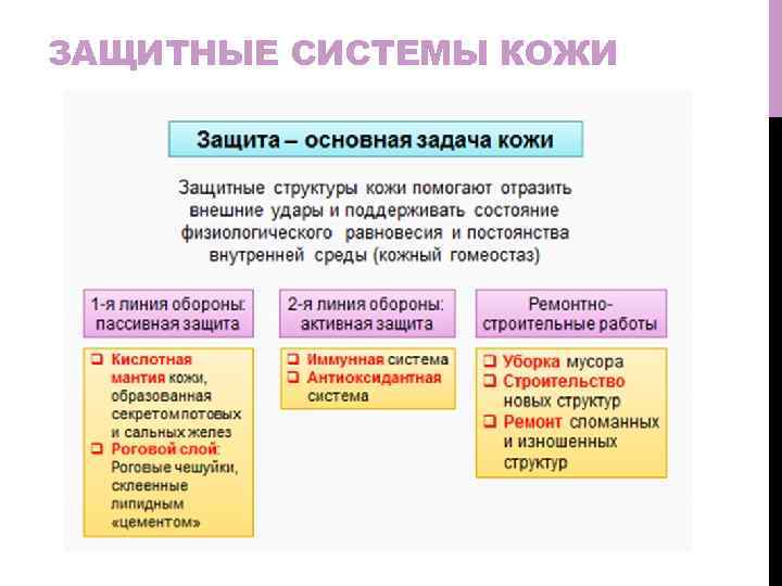 ЗАЩИТНЫЕ СИСТЕМЫ КОЖИ 