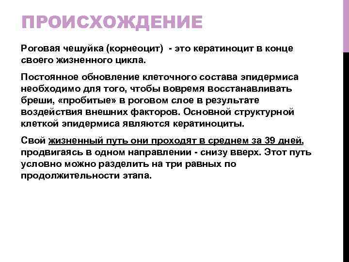 ПРОИСХОЖДЕНИЕ Роговая чешуйка (корнеоцит) - это кератиноцит в конце своего жизненного цикла. Постоянное обновление