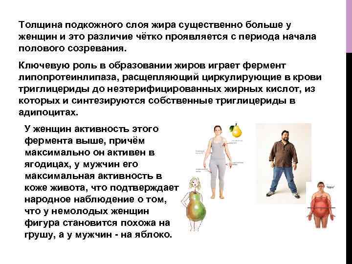 Толщина подкожного слоя жира существенно больше у женщин и это различие чётко проявляется с