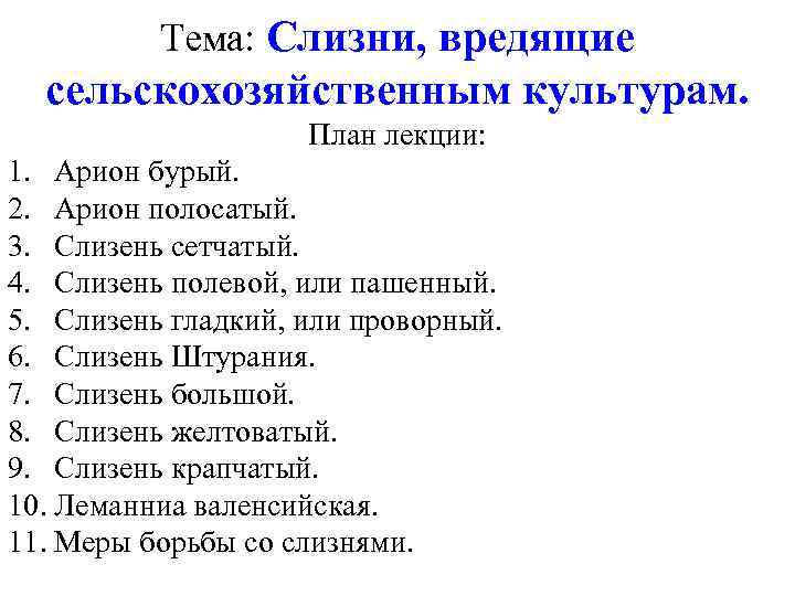 Морфология биология. Слизни систематика. СЛИЗЕНЬ классификация. Классификация слизня биология. Систематическое положение слизня.