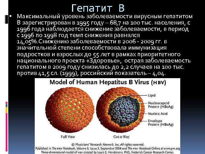 Гепатит В Максимальный уровень заболеваемости вирусным гепатитом В зарегистрирован в 1995 году – 68,