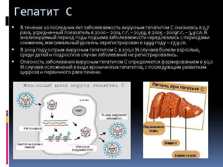 Гепатит С В течение 10 последних лет заболеваемость вирусным гепатитом С снизилась в 2,