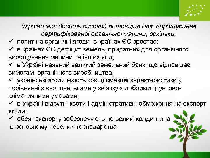 Україна має досить високий потенціал для вирощування сертифікованої органічної малини, оскільки: ü попит на