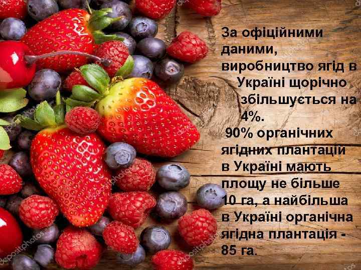 За офіційними даними, виробництво ягід в Україні щорічно збільшується на 4%. 90% органічних ягідних