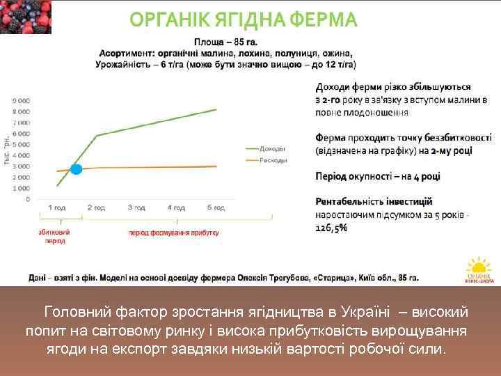  Головний фактор зростання ягідництва в Україні – високий попит на світовому ринку і