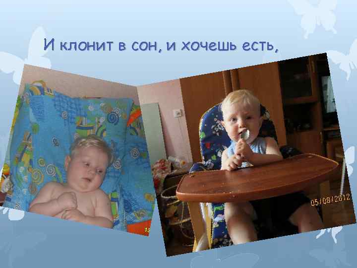 И клонит в сон, и хочешь есть, 
