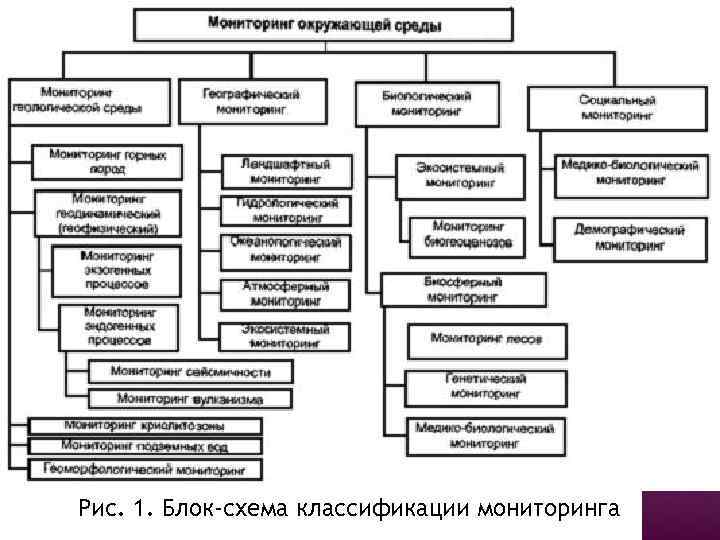 Мониторинг объектов окружающей среды