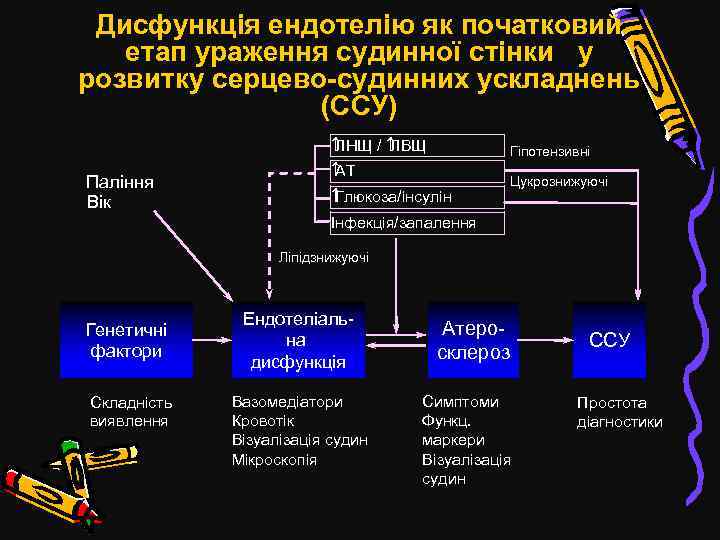 Дисфункція ендотелію як початковий етап ураження судинної стінки у розвитку серцево-судинних ускладнень (ССУ) ЛНЩ