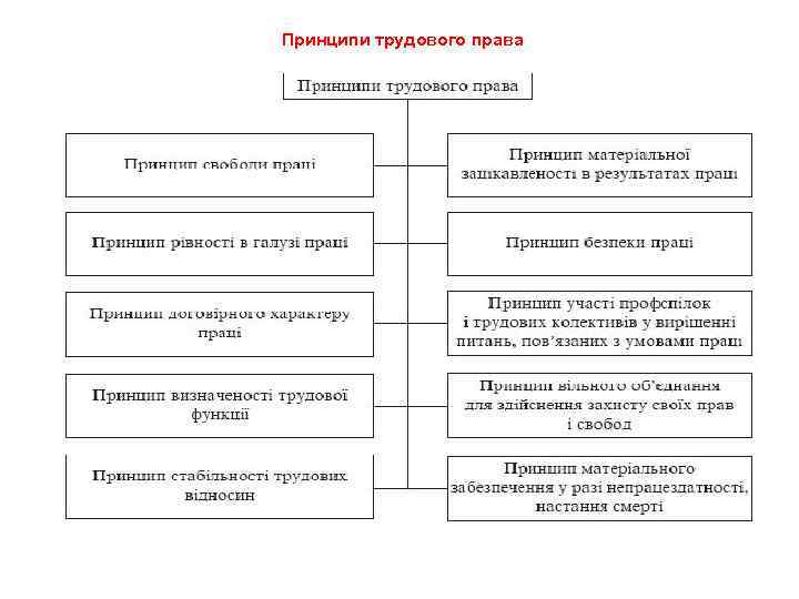 Принципи трудового права 