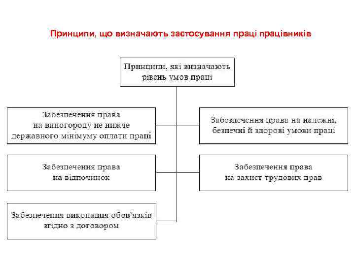 Принципи, що визначають застосування працівників 