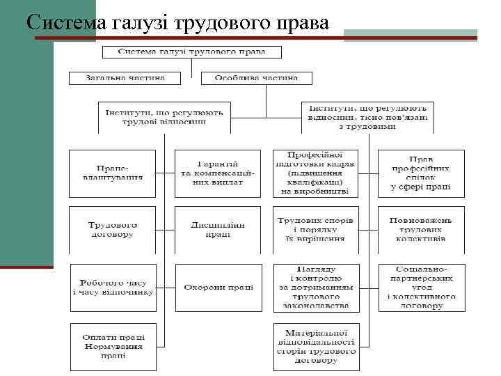 Система галузі трудового права 