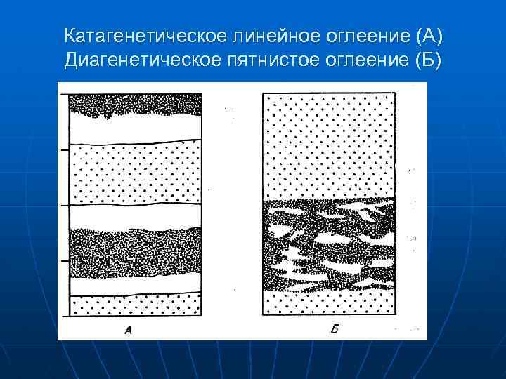 Катагенетическое линейное оглеение (А) Диагенетическое пятнистое оглеение (Б) 