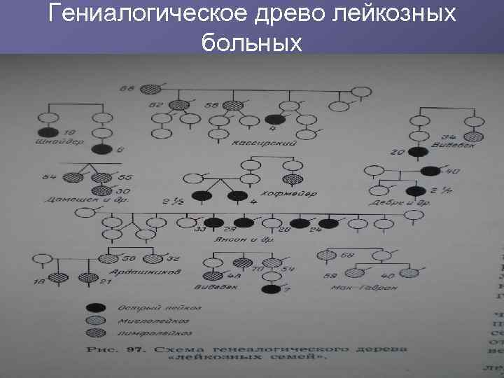 Гениалогическое древо лейкозных больных 