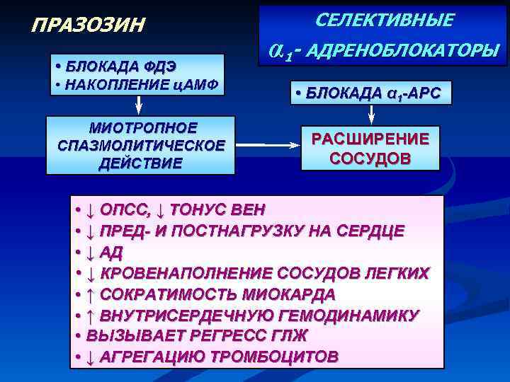 Празозин. Празозин механизм. Празозин адреноблокатор. Празозин эффекты. Празозин адреноблокатор селективный.