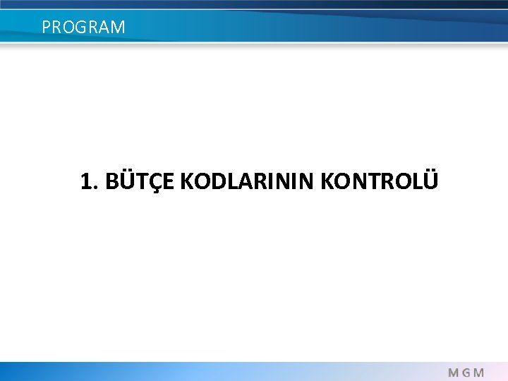 PROGRAM 1. BÜTÇE KODLARININ KONTROLÜ 