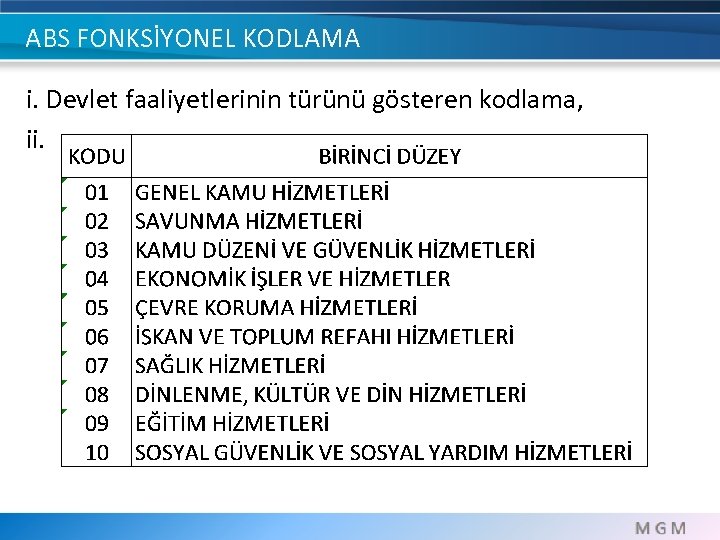 ABS FONKSİYONEL KODLAMA i. Devlet faaliyetlerinin türünü gösteren kodlama, ii. 