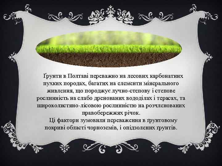  Ґрунти в Полтаві переважно на лесових карбонатних пухких породах, багатих на елементи мінерального