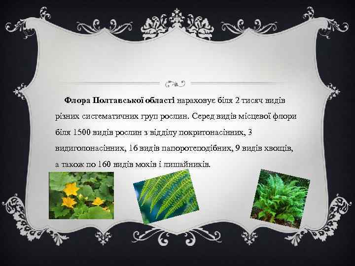  Флора Полтавської області нараховує біля 2 тисяч видів різних систематичних груп рослин. Серед