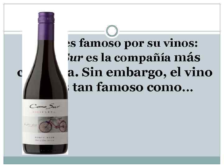  Chile es famoso por su vinos: Cono Sur es la compañía más conocida.