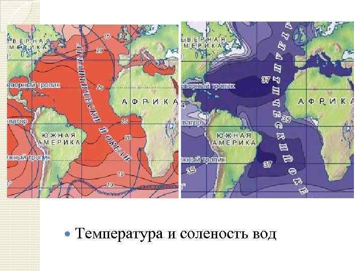 Температура поверхностных вод атлантического океана. Климатическая карта Атлантического океана. Карта солености Атлантического океана. Температурная карта Атлантического океана. Температура и солёность Атлантического океана.