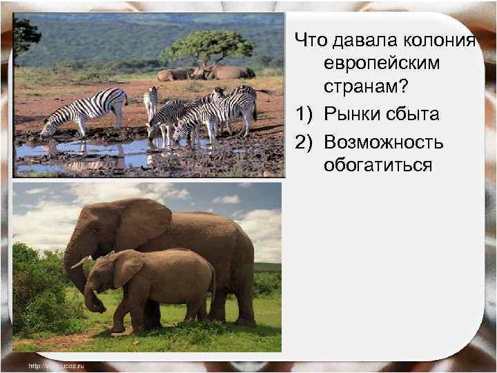 Что давала колония европейским странам? 1) Рынки сбыта 2) Возможность обогатиться 