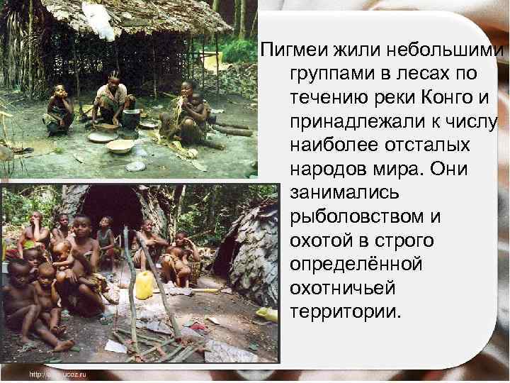 Пигмеи жили небольшими группами в лесах по течению реки Конго и принадлежали к числу