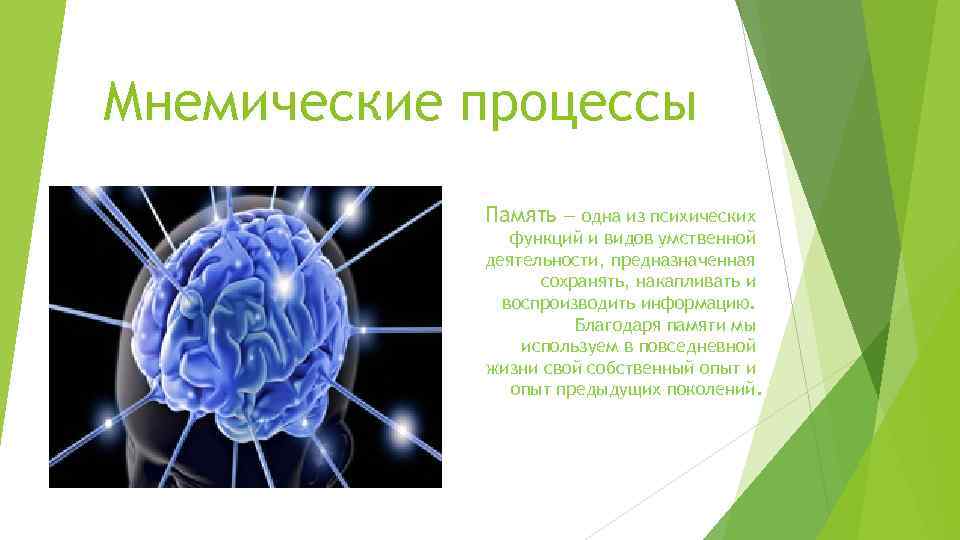 Чем отличается память человека от памяти животного. Мнемические процессы. Виды мнемических процессов. Мнемические психические процессы. Мнемические функции памяти это.