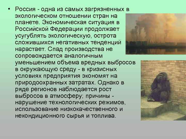  • Россия - одна из самых загрязненных в экологическом отношении стран на планете.