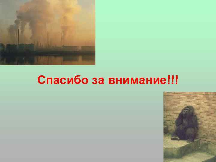 Спасибо за внимание!!! 