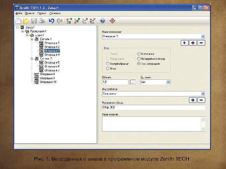 Рис. 1. Ввод данных о заказе в программном модуле Zenith TECH 