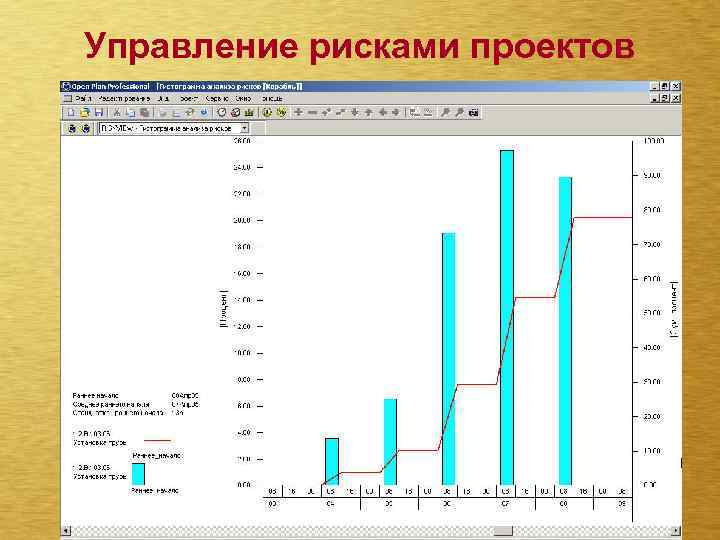 Управление рисками проектов 