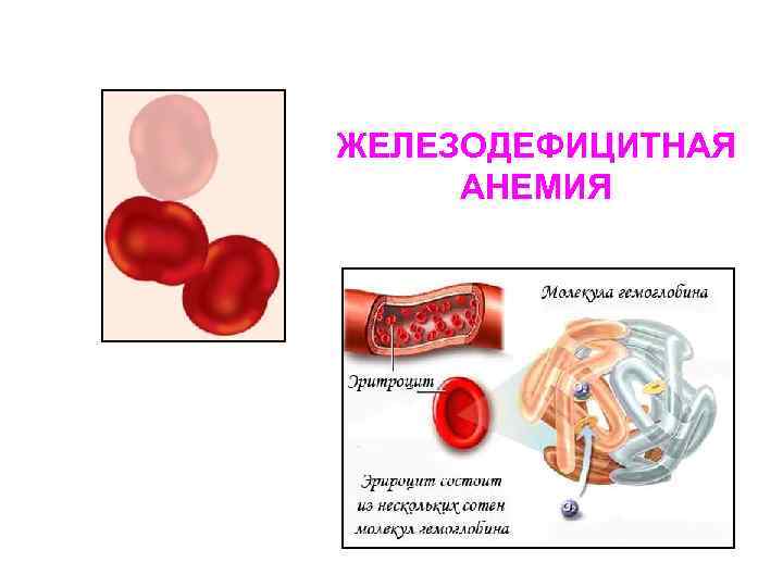 Стол при анемии железодефицитной у взрослых