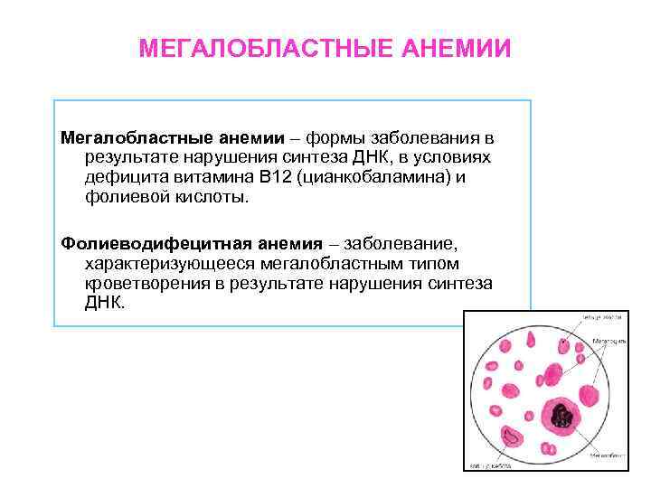 Мегалобластная анемия презентация