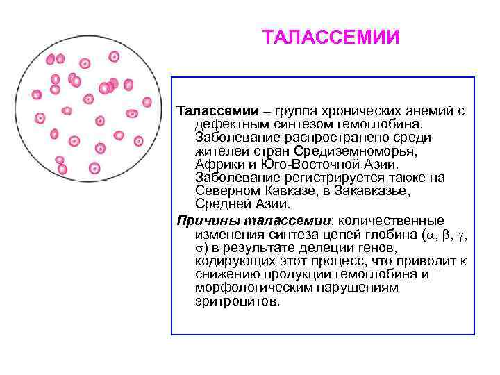 ТАЛАССЕМИИ Талассемии – группа хронических анемий с дефектным синтезом гемоглобина. Заболевание распространено среди жителей