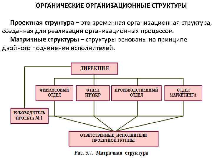 Что из перечисленного относится к принципам построения организационных структур управления проектами