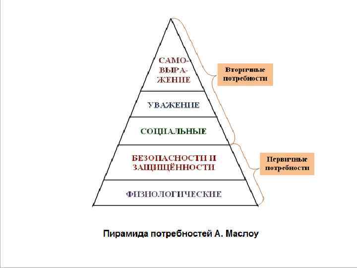 На какие уровни подразделяется живая материя